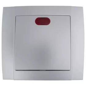 SR-2501 1 WAY SWITCH  WITH LIGHT SILVER GREY
