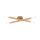 TK LIGHTING CEILING LAMP NOBLE 4524 4XG9 BROWN