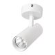 TLOM COB LIGHT 15W 220-240V 4000K 24° BIELY