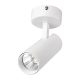 TLOM COB LIGHT 30W 220-240V 4000K 24° ČIERNY