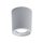 LIVIA 90 LED STROPNÉ SVIETIDLO 6W CCT IP55 SIVA