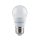 LED GLOBE ŽIAROVKA G45 8W E27 230V 6400K
